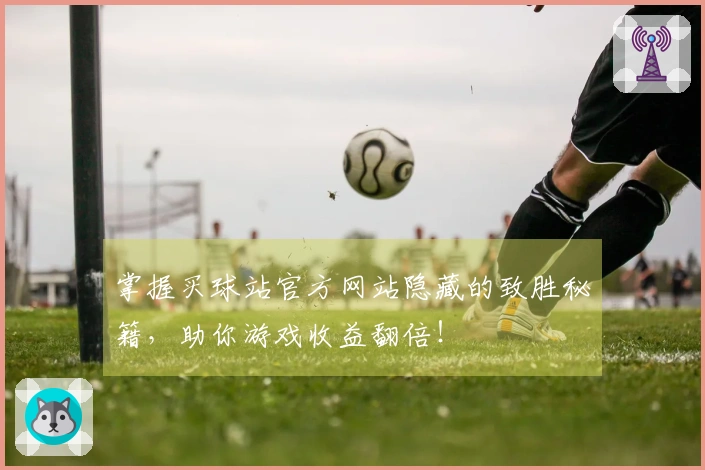 掌握买球站官方网站隐藏的致胜秘籍，助你游戏收益翻倍！